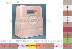 In tui giay Kraft Caton 113-